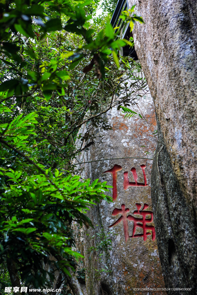 热带天堂森林公园