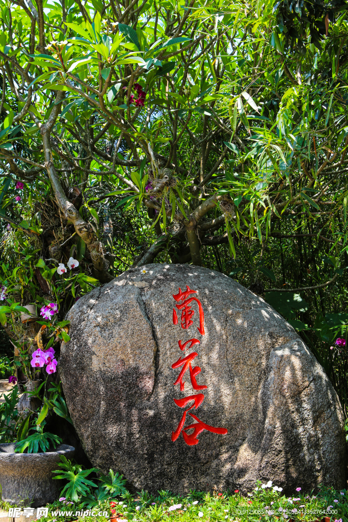 热带天堂森林公园