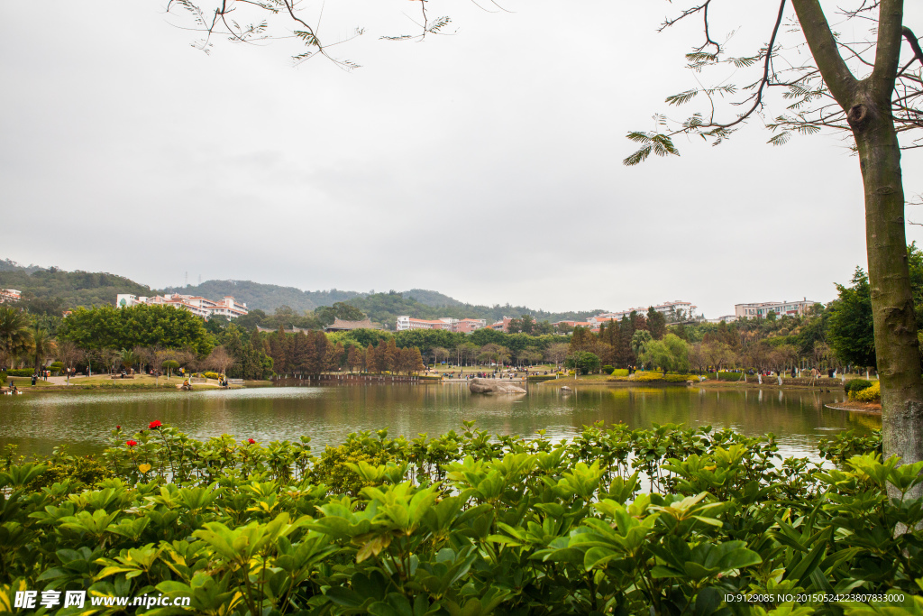 厦门大学