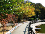 鲁迅公园