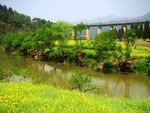 田园风光