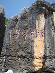 山
