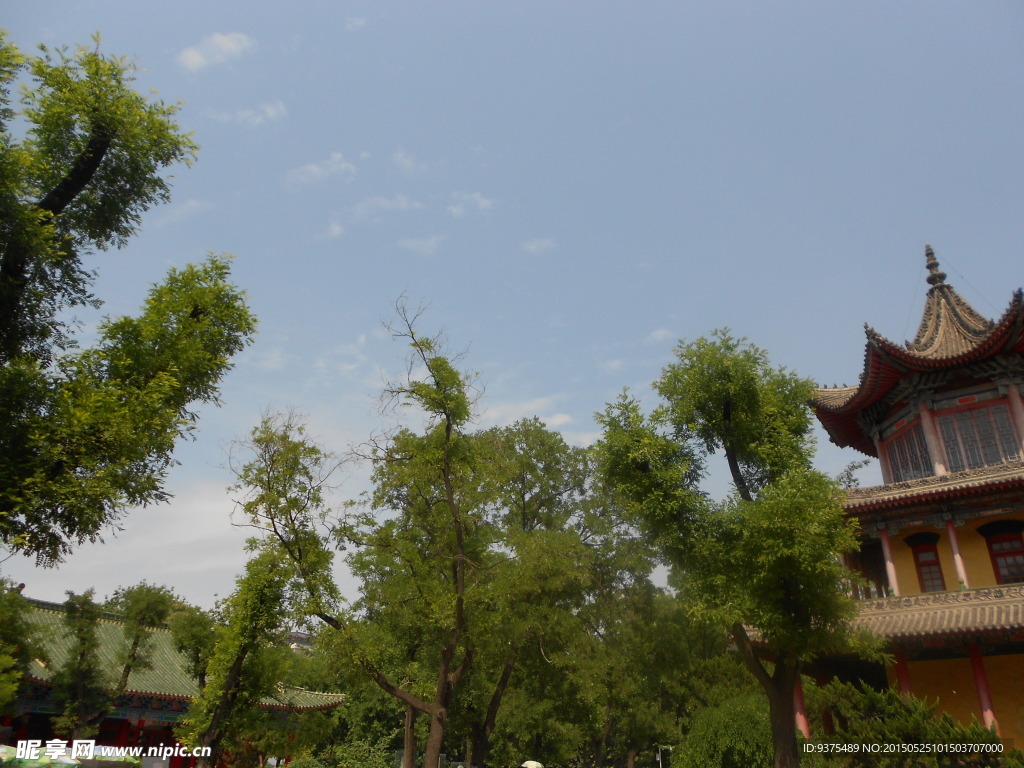 公园风景