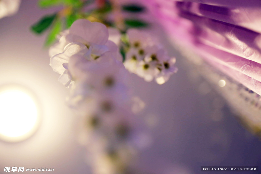 白色花