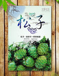 松子海报