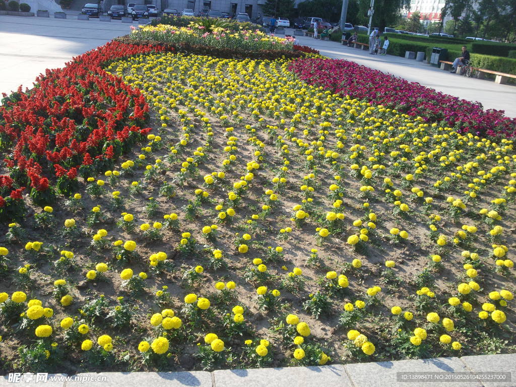 花池