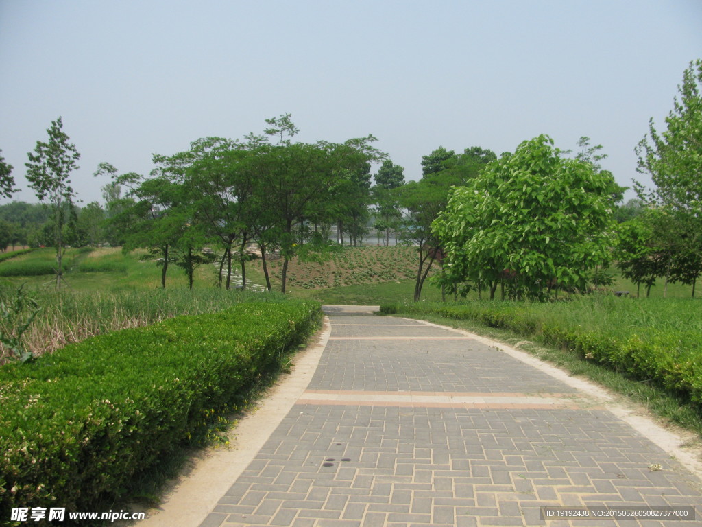 小路