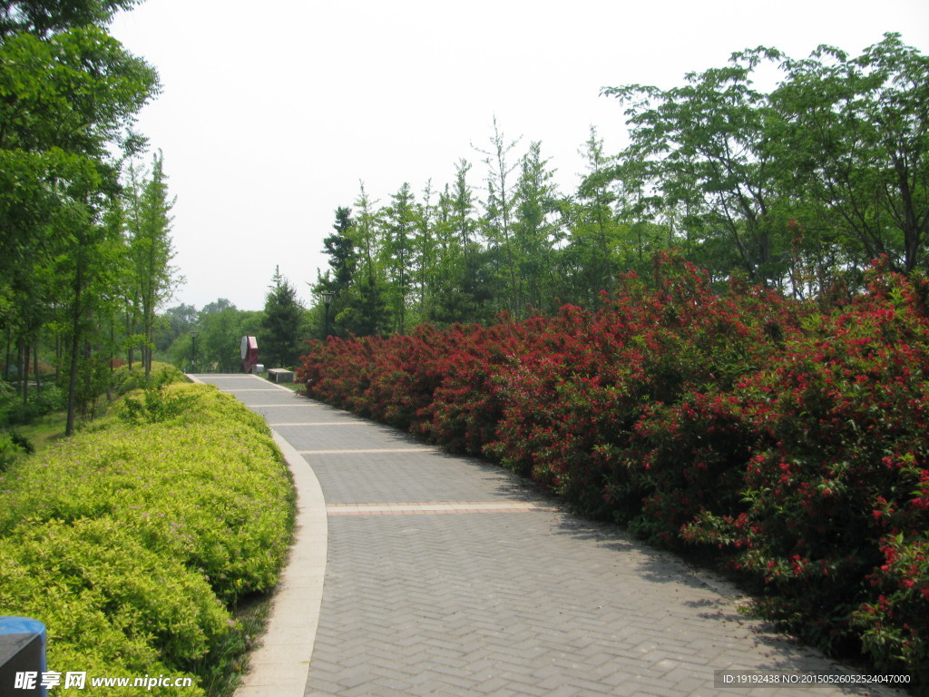 小路