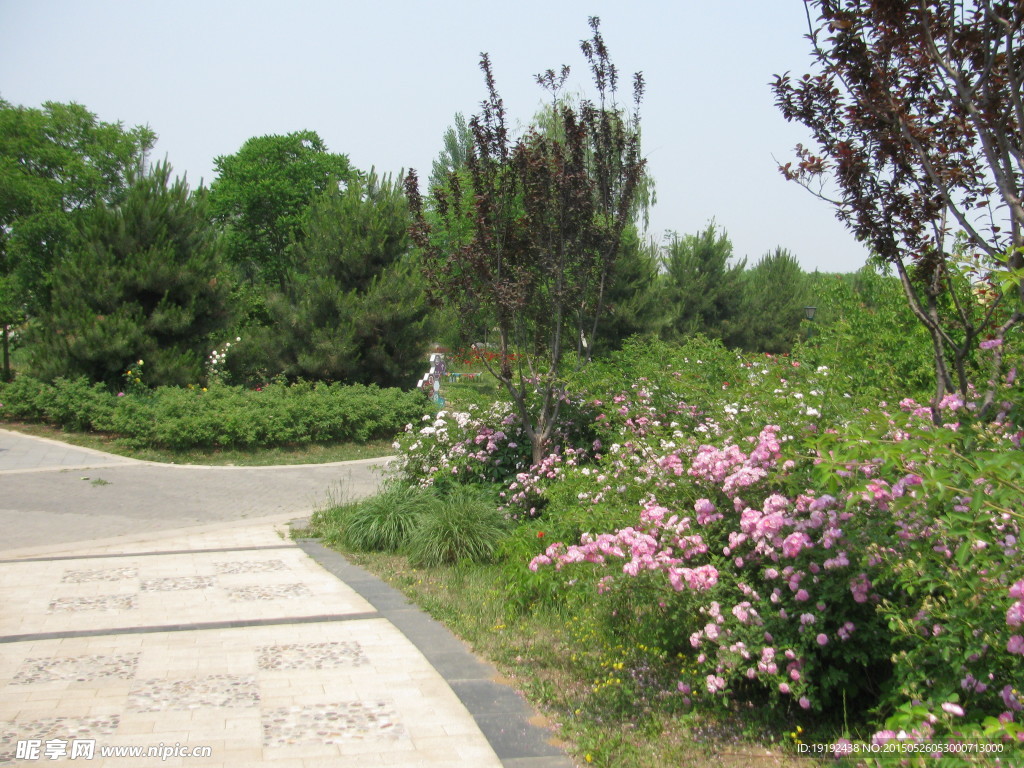 小路