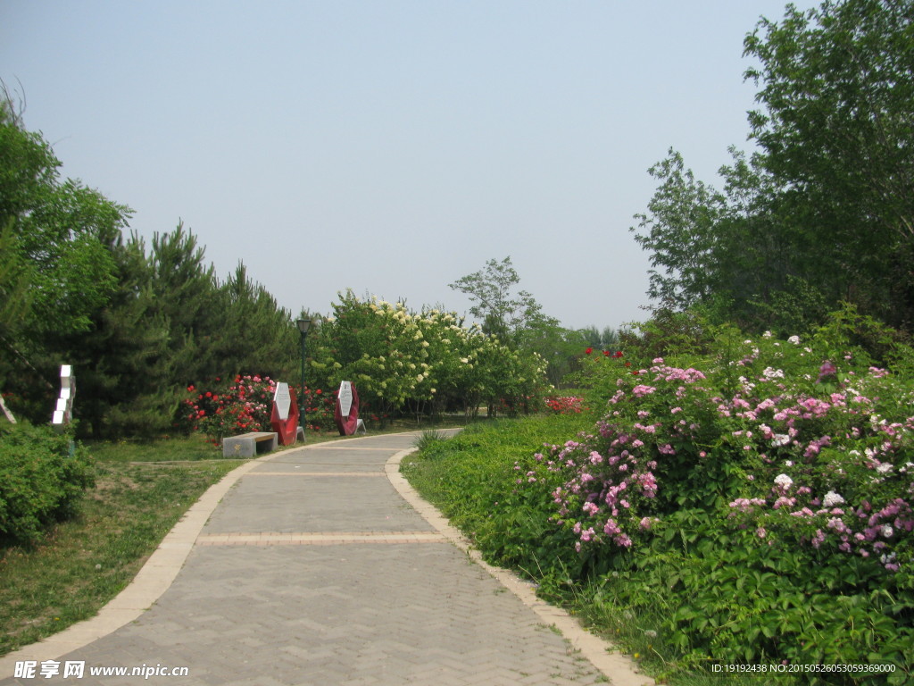 小路