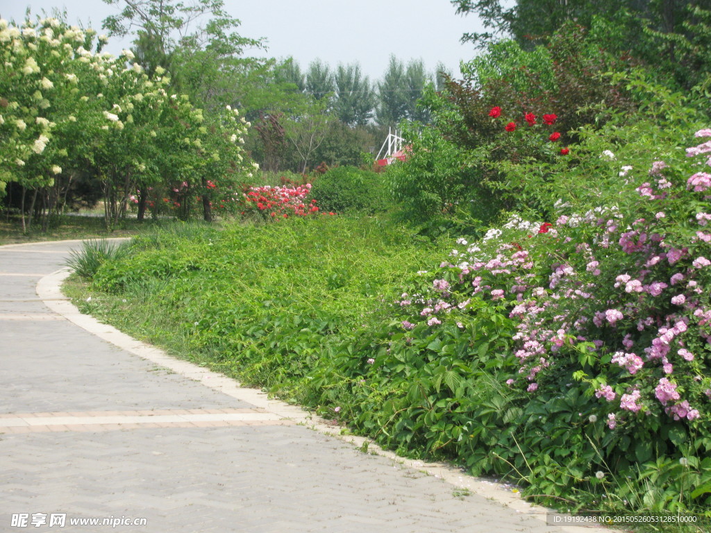 小路