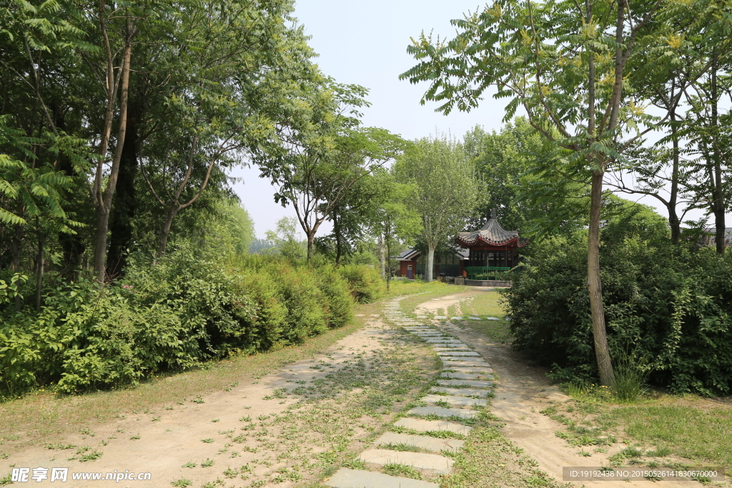 园林景观