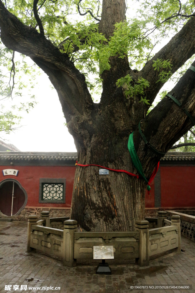 晋祠
