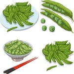 矢量绿色豌豆