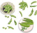 矢量绿色 豌豆