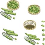 矢量豌豆