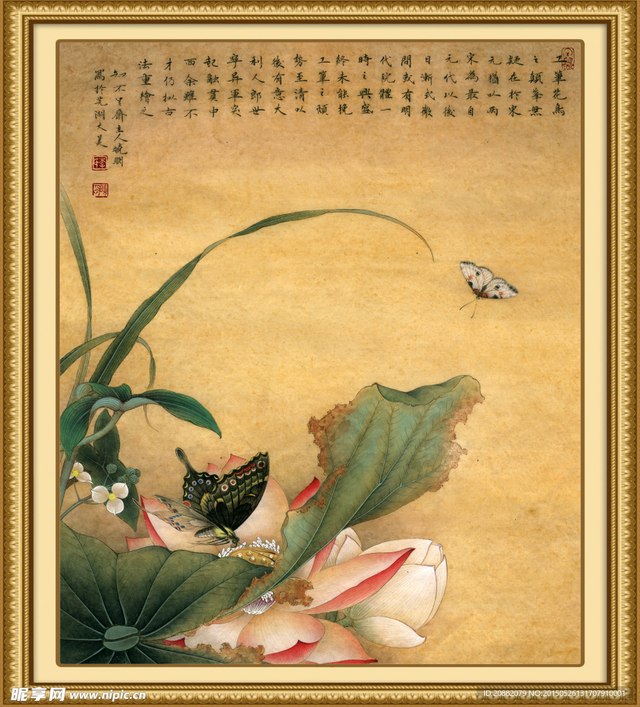 荷花双蝶