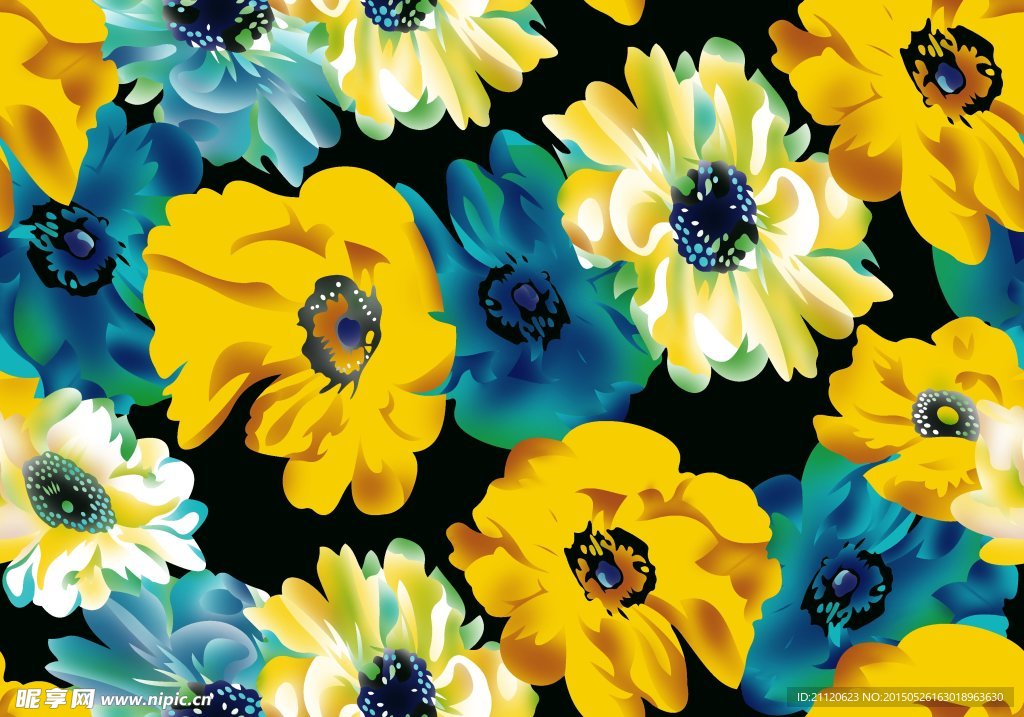 黄蓝花朵