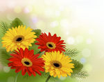 鲜花