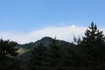 松林远山