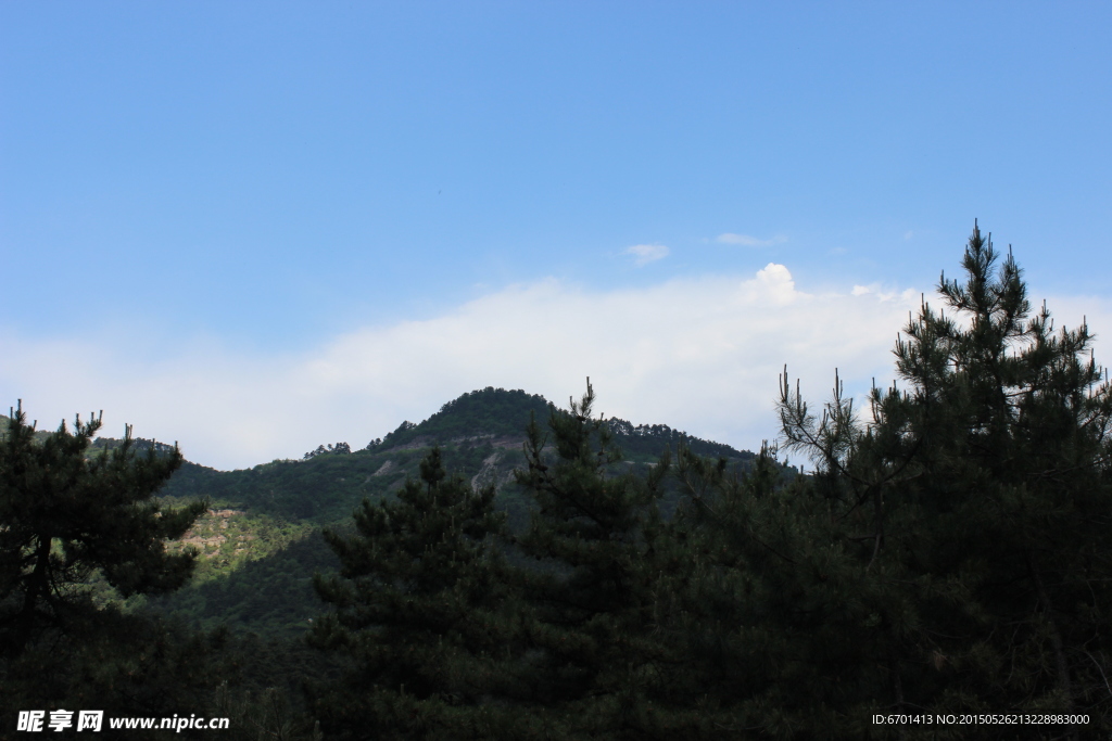松林远山