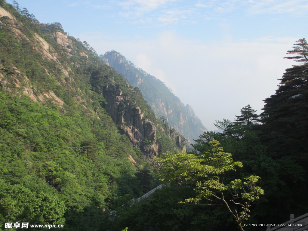 黄山风景区   黄山   松树