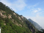 黄山风景区   黄山   松树