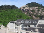 黄山风景区   黄山   松树