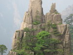 黄山风景区   黄山   松树