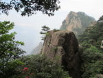 黄山风景区   黄山   松树