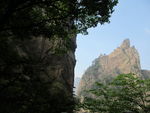 黄山风景区   黄山   松树