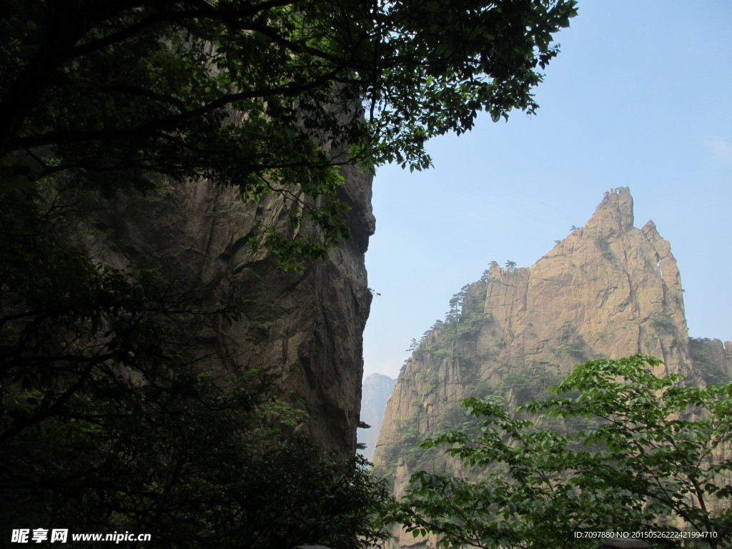 黄山风景区   黄山   松树