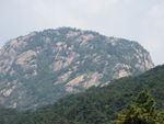 黄山风景区   黄山   松树