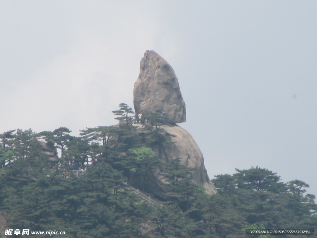 黄山风景区   黄山   松树