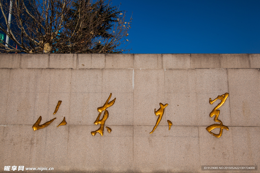 山东大学