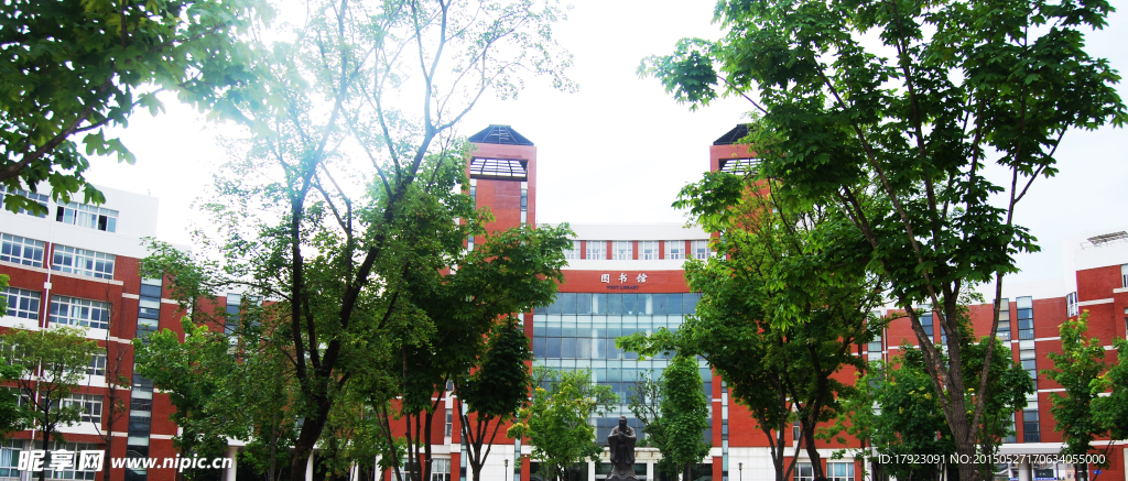 大学