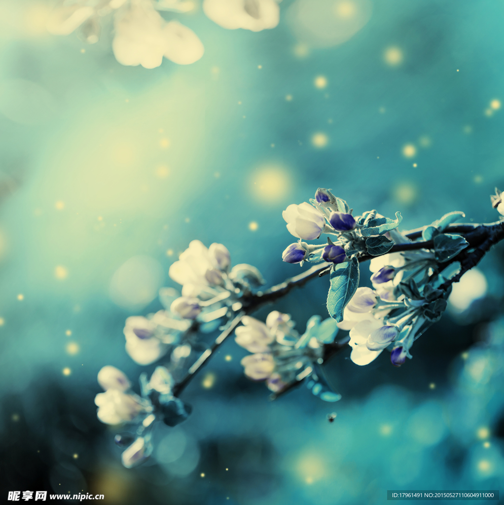 唯美梨花