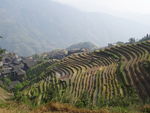 桂林龙胜风景