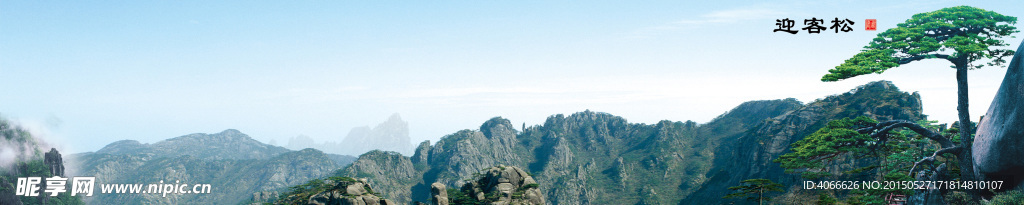 黄山迎客松景观