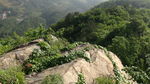 绿满山石