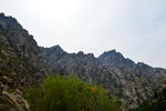 贺兰山岩画