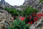 贺兰山岩画