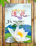 莲花海报