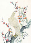 梅花老鹰