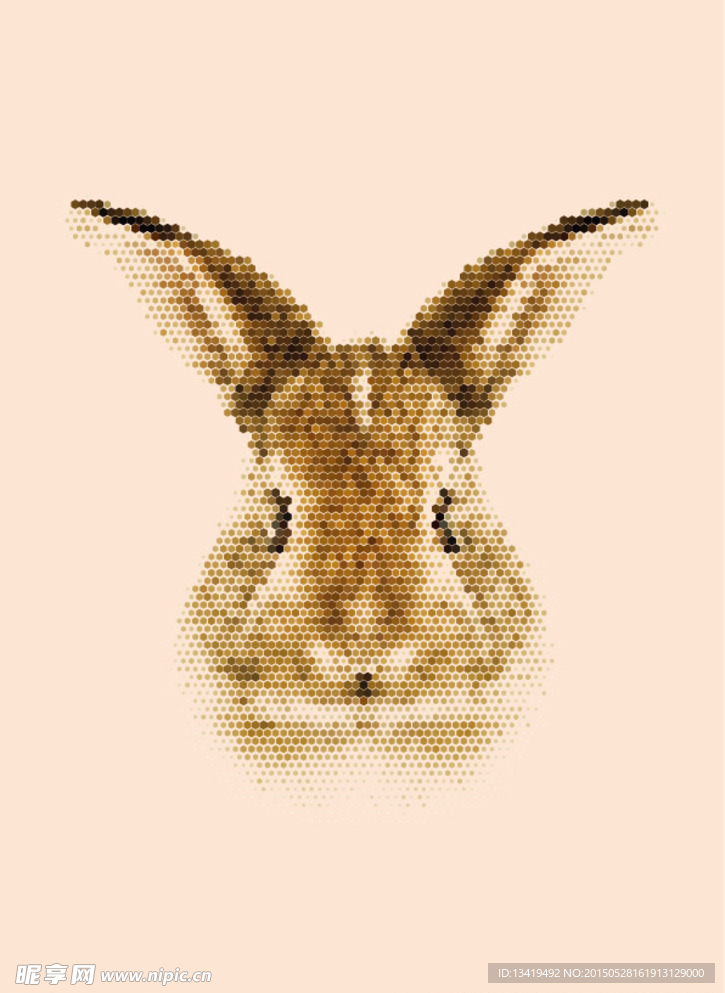 兔子