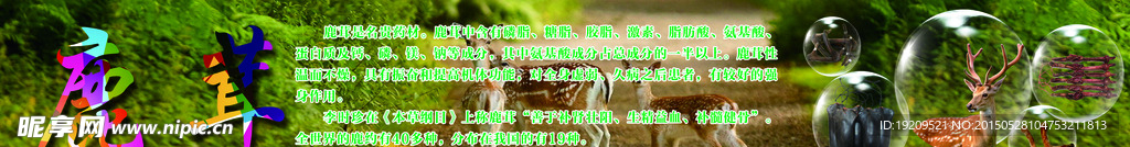 鹿茸