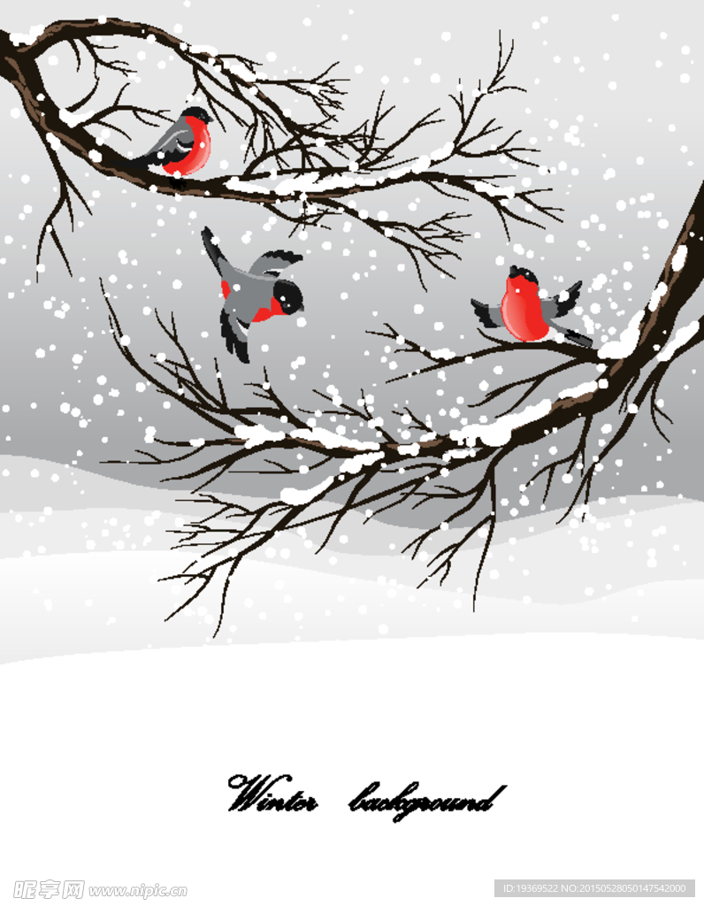 冬季鸟插画矢量素材