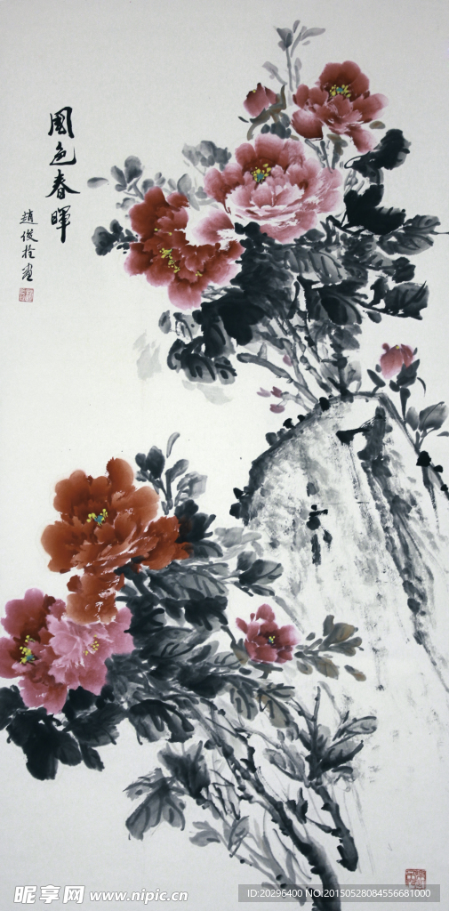 国画牡丹