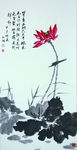 国画莲花
