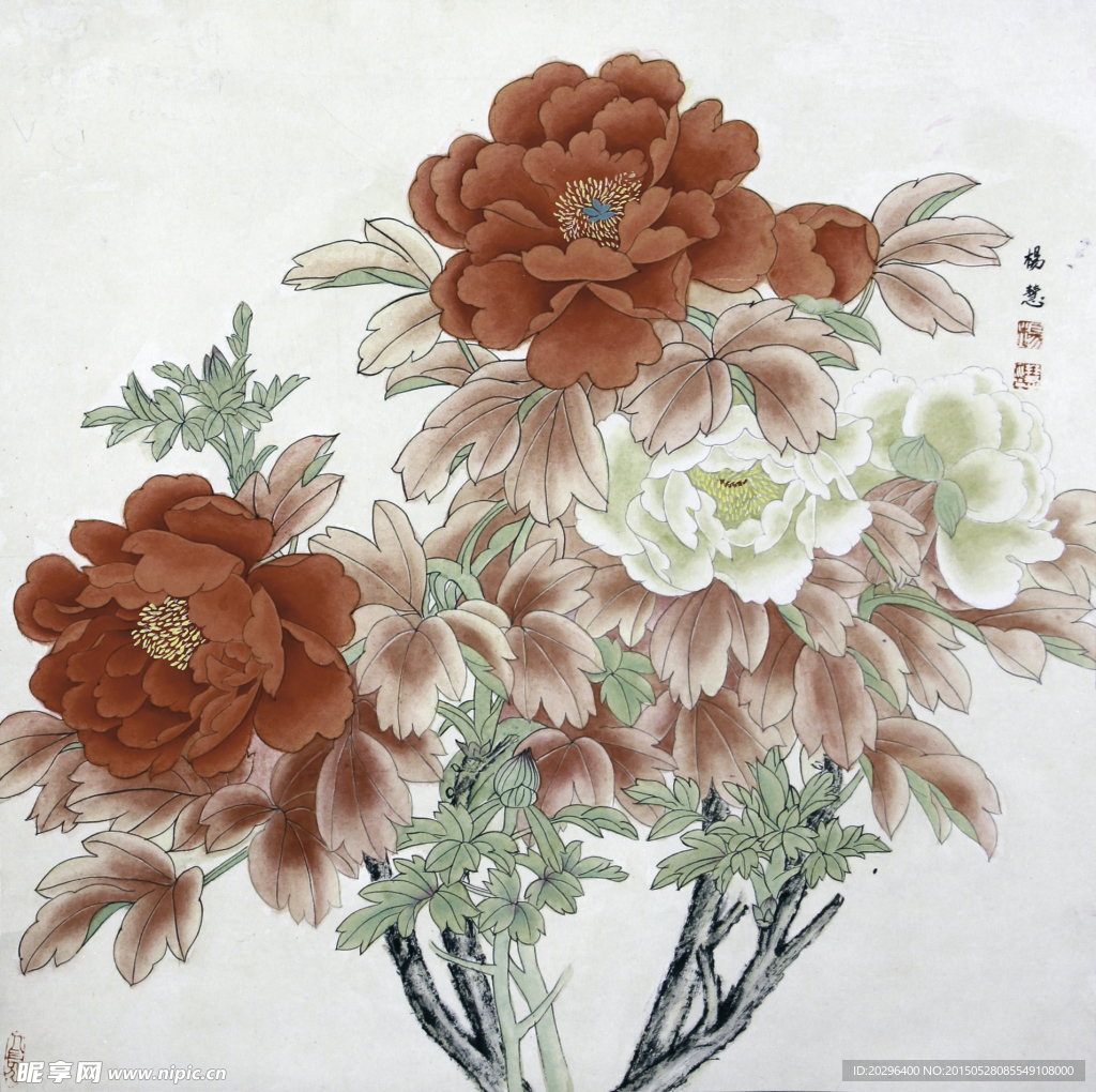 国画牡丹